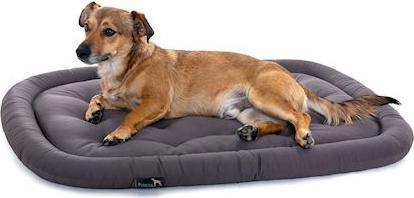 Productafbeelding Pointer Hondenkussen (Hond)