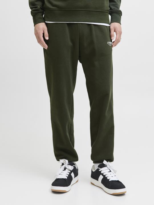 Actual product image Jack & Jones Regular Fit Relaxed Fit Hosen Relaxed Fit Hosen (XS)