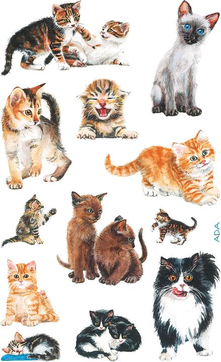 Produktbild Z-Design Aufkleber Katzenbabies