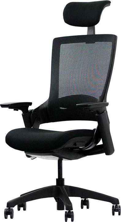 Ergotopia Ergonomischer Bürostuhl