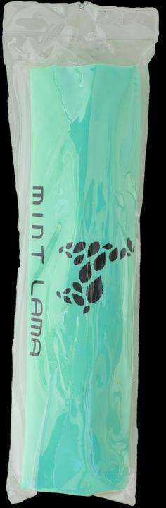 Actual product image Mint Lama Dry Bag (10 l)