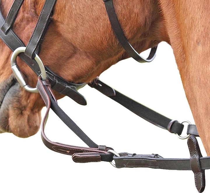 Actual product image Shires UTER296 P