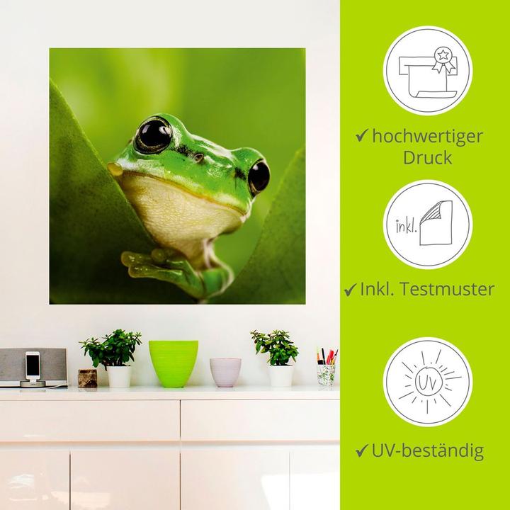 Image du produit Artland Toile sur châssis Grenouille espionne T5VH 50x50 cm (50x50 cm)