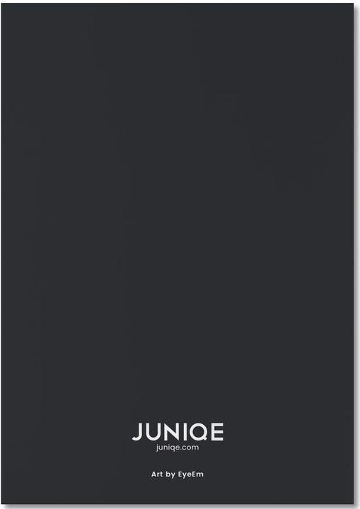 Produktbild Juniqe Diving Deep @Niccolo Stevens - Fische (A4, Blanko)