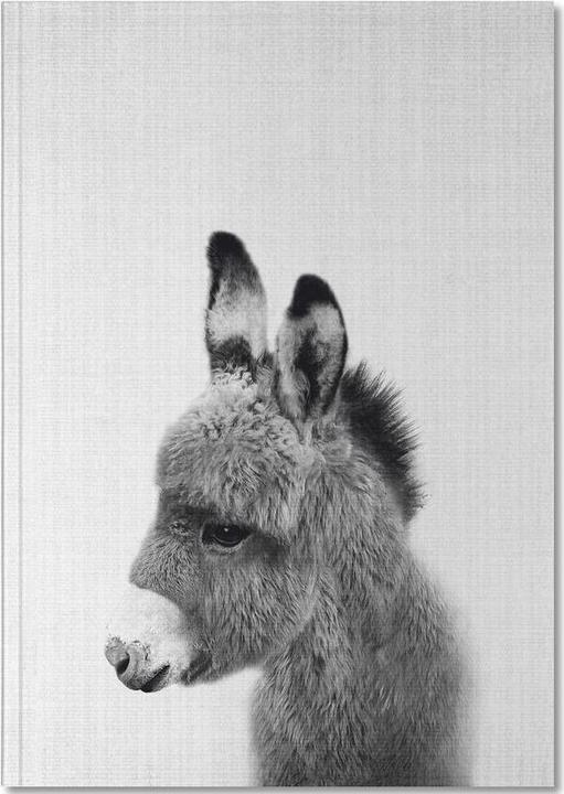 Produktbild Juniqe Esel-Schwarz-Weiss-Fotografie (A4, Blanko)