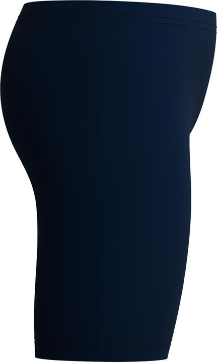 Actual product image Speedo Medley Logo Jammer (5, 6)