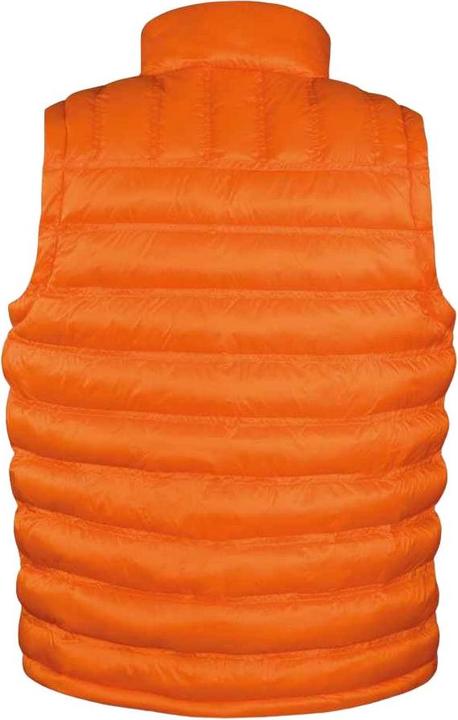 Image du produit Regatta Urban - Gilet ICE BIRD - Hommes (L)