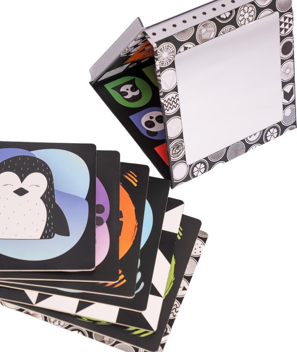 Image du produit DoerKids Miroir de sol Tummy Time + fiches d'apprentissage pour bébé (Allemand, Français, Italien, Anglais)