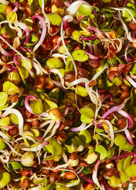 Produktbild KoRo Bio Radieschen China Rose Keimsaaten (Raphanus Sativus) (1000 g)
