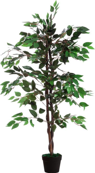 Produktbild Paperflow GUMMIBAUM Kunstbaum 120,0 cm (120 cm)