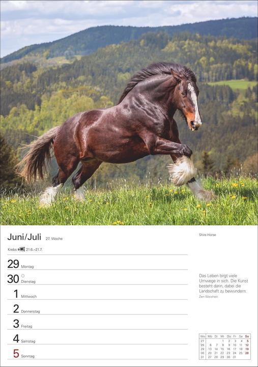 Image du produit Harenberg Pferde Wochenplaner 2026 - 53 faszinierende Fotografien (Allemand)