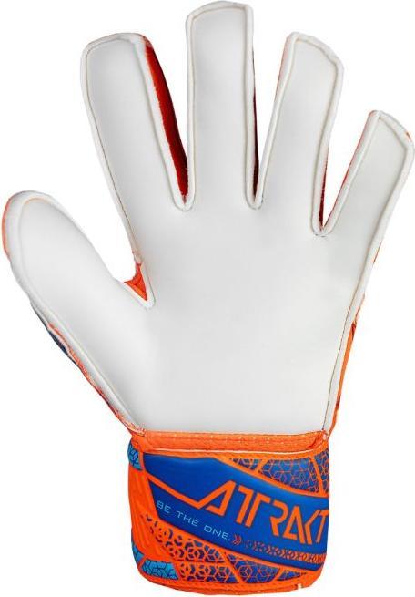Actual product image Reusch Attract Solid (8)