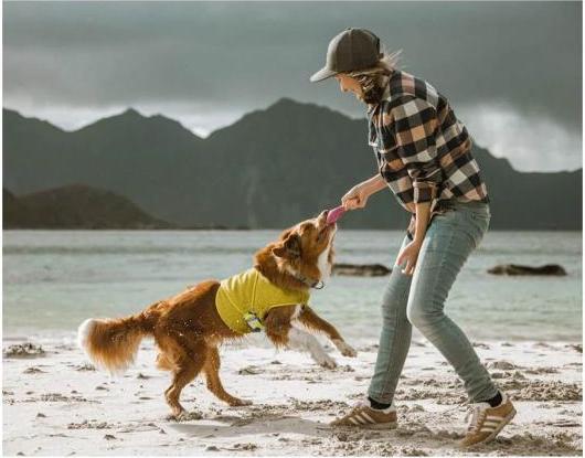 Actual product image Hurtta Cooling Wrap cooling waistcoat for dogs Yellow S (S, Dog vest)