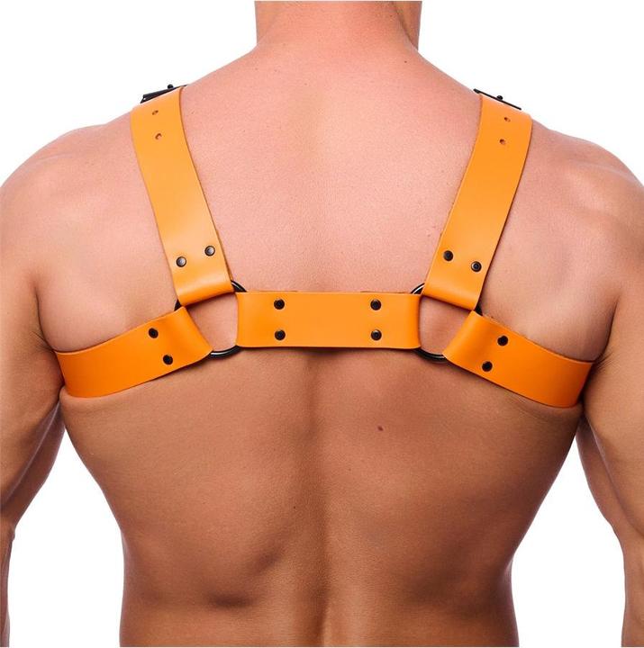 Produktbild The Red Premium Leder-Harness "BULLDOG" (S, M)