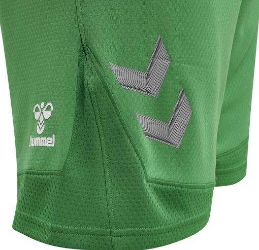 Actual product image hummel Lead Poly Shorts (S)