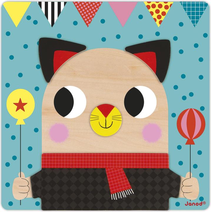 Actual product image Janod Magnetic educational game