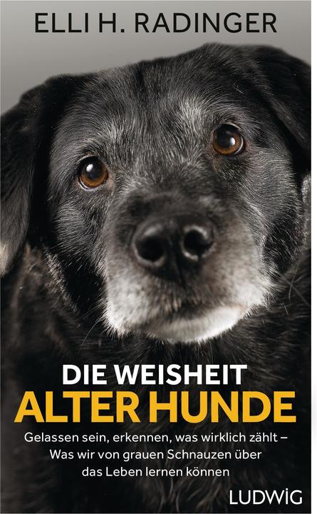 Produktbild Die Weisheit alter Hunde (Deutsch, Elli H. Radinger, 2018)