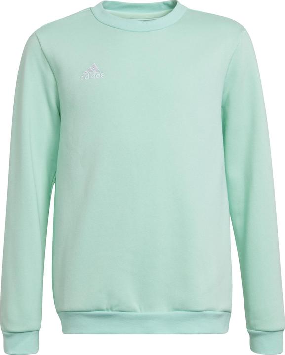 adidas Entrada 22 Sweatshirt Kinder (152)