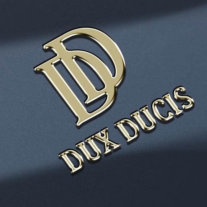 Actual product image Dux Ducis DuxDucis - Skin Pro Google Pixel 8 Pro (Google Pixel 8 Pro)