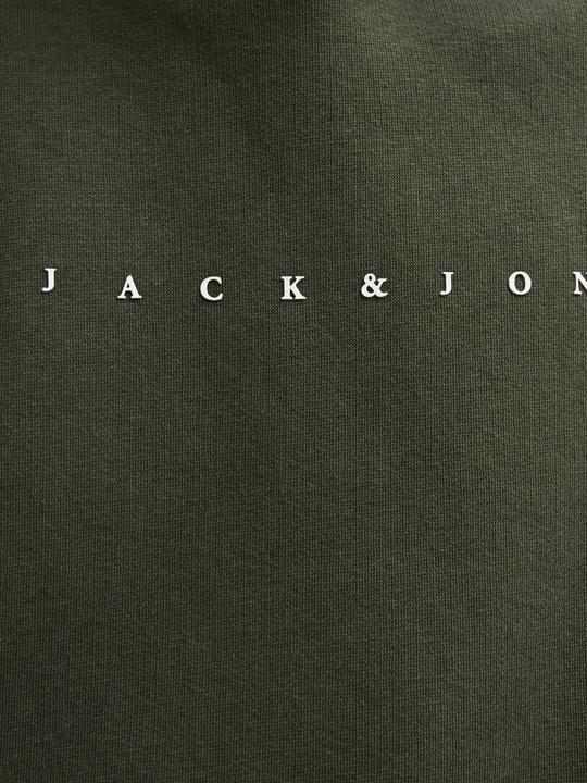 Actual product image Jack & Jones Jjestar Jj Sweat Hood Noos Jnr (128)