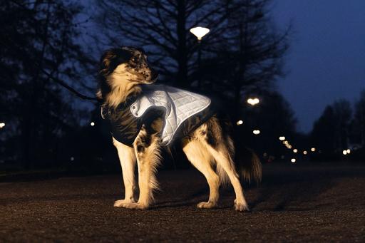 Actual product image Beeztees Allia (36, Dog coat)