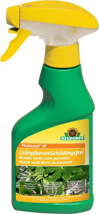 Neudorff Promanal AF (Microspie mealy, Acari del ragno rosso)