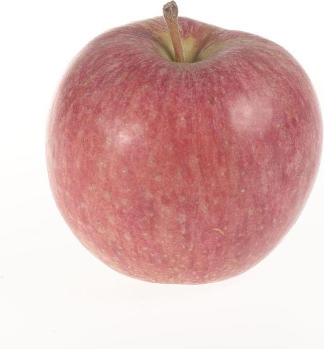Image du produit Lubera Deux pommiers en colonne pour le bac