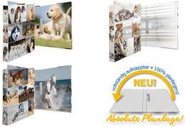 Actual product image HERMA A4 ring binder motif (A4, 35 mm, 1 Piece)