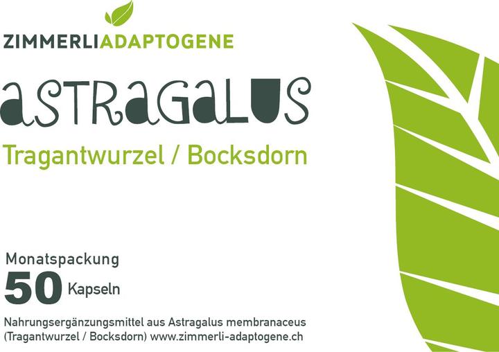 Actual product image Zimmerli Adaptogene Astragalus Capsules 50 Capsules (1 Piece, Capsules, 25 g)