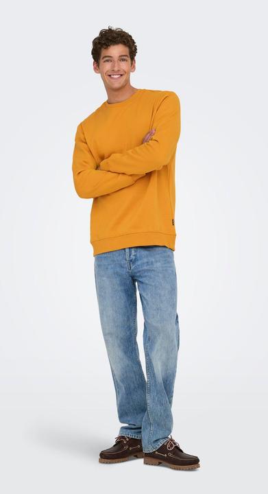 Image du produit Only & Sons Onsconnor Reg Crew Neck Sweat Noos (XL)