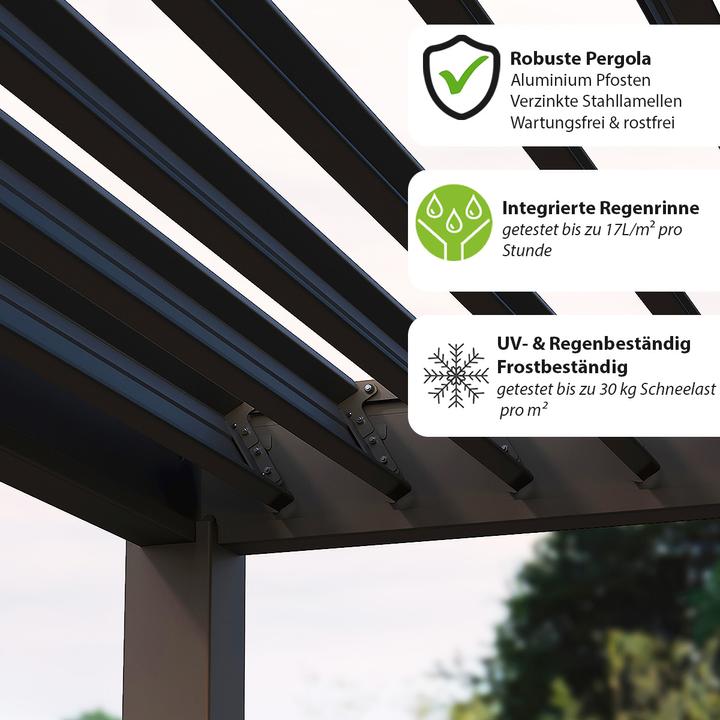 Image du produit Weide Pergola Classic (300 cm, 360 cm)