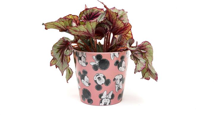 Immagine prodotto Jardinopia Vaso da fiori Eco Pots Micky, rosa, set da 3 (14 cm)