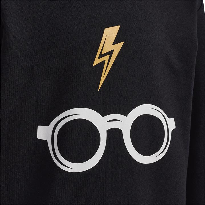Immagine prodotto hummel Felpa con cappuccio Hmlharry Potter (104)