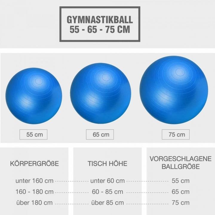 Image du produit Gorilla Sports ballon d'exercice (75 cm)