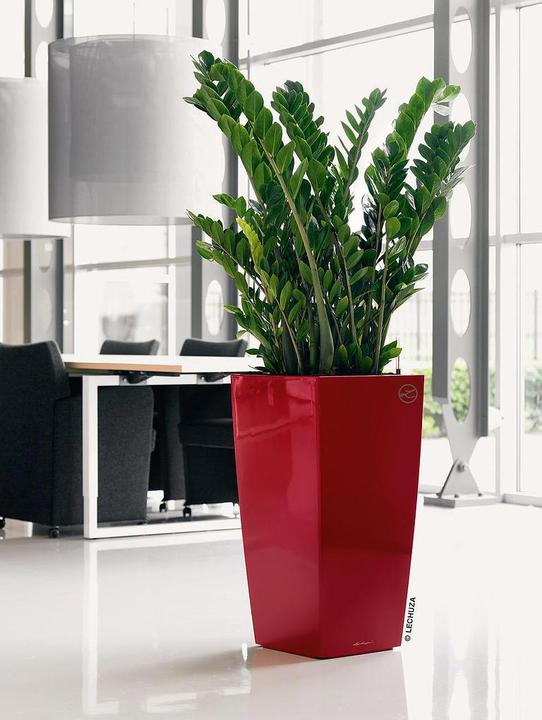 Produktbild Lechuza Cubico (39.50 cm)