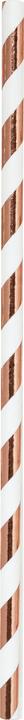 Actual product image Folia Straws (25 x)