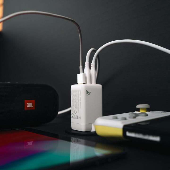 Image du produit Aqiila Powerbird B20B+ - Banque d'énergie 20000 mAh, 65W - Moss (20000 mAh, 65 W, 74 Wh)