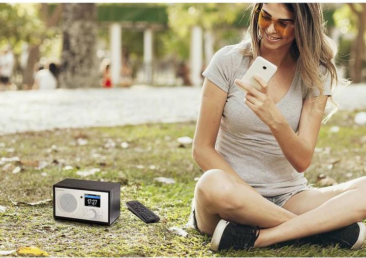 Produktbild Renkforce Internet Radio Bluetooth, AUX, WLAN, DLNA-fähig, tragbar mit Akku (Internetradio, WLAN, Bluetooth)