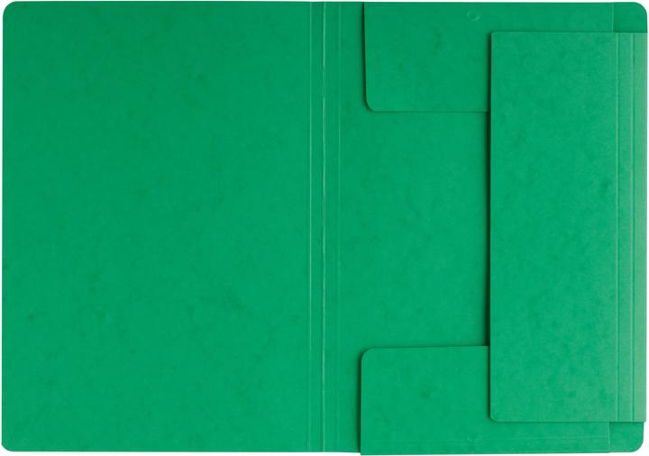 Actual product image Pagna Rubber band folder (A4, 1 x)