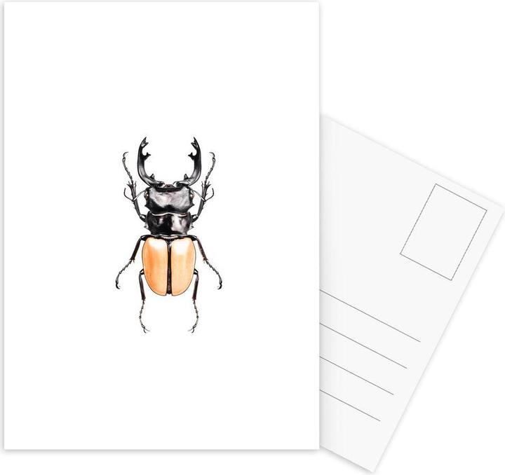 Immagine prodotto Juniqe Odontolabis Mouhotil Elegans - Scarabeo (3 pz.)
