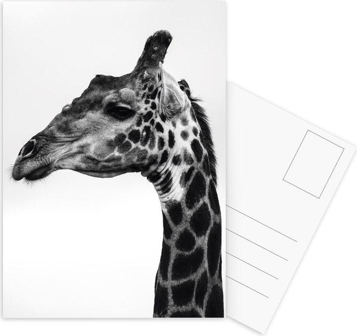 Produktbild Juniqe Giraph - Giraffen (15 Stk.)
