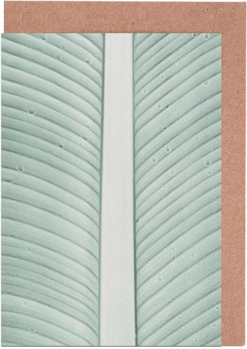 Image du produit Juniqe Strelitzia 01 - Feuilles & Plantes (3 pcs)