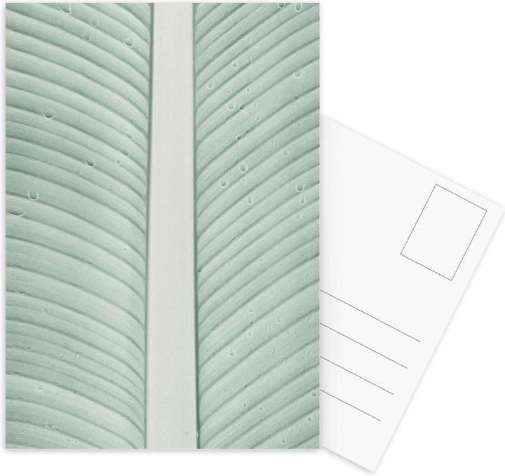 Image du produit Juniqe Strelitzia 01 - Feuilles & Plantes (15 pcs)