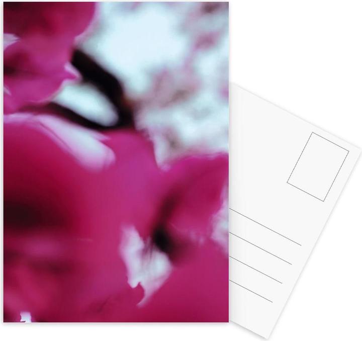 Immagine prodotto Juniqe Cani giorno Bougainvillea - Botanica (3 pz.)