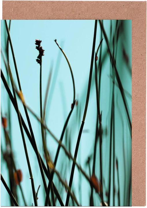 Actual product image Juniqe Destination Rotterdam - Botanical (5 pcs.)