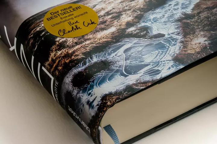 Actual product image Einsame Nacht (German, Charlotte Link, 2022)