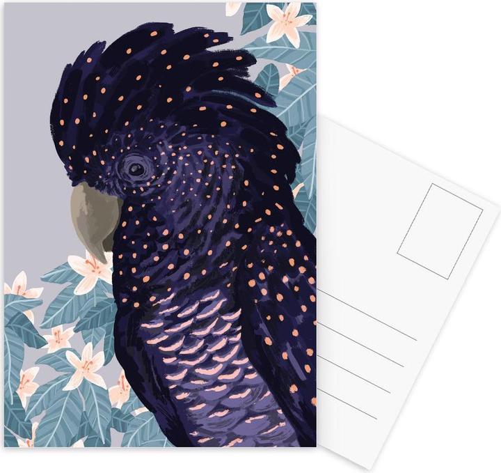 Produktbild Juniqe Black Cockatoo - Vögel (3 Stk.)