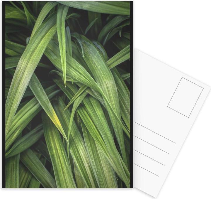 Actual product image Juniqe Long Leaves 1 - Leaves & Plants (3 pcs.)