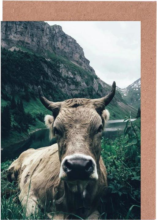 Produktbild Juniqe A Natural Habitat - Kühe (15 Stk.)