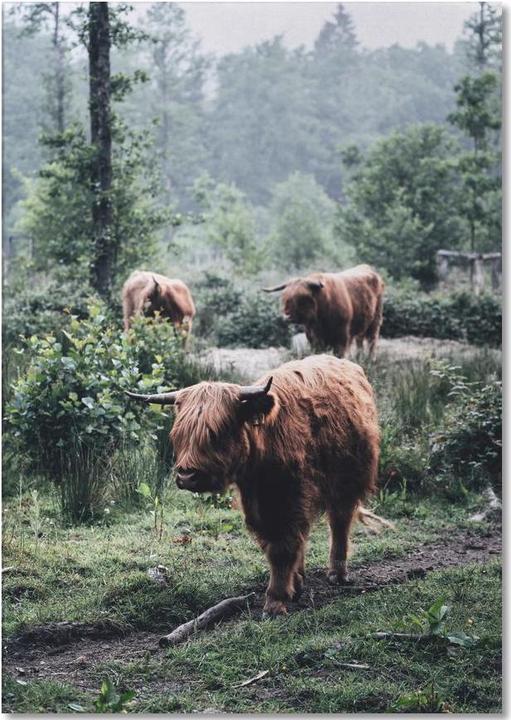 Produktbild Juniqe Seen But Not Herd - Kühe (A5, Gepunktet)